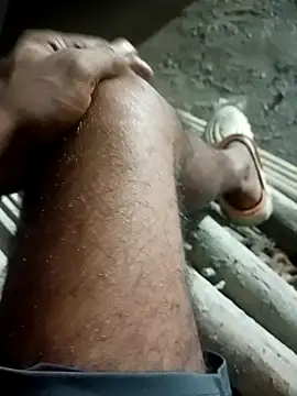 Bengali BULL1 online show from 09/30/25, 04:13