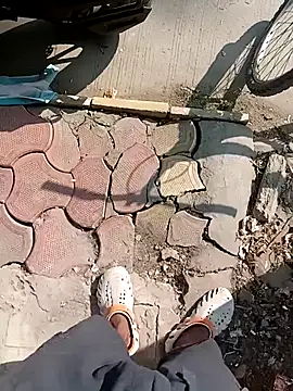 Bengali BULL1 online show from 11/20/25, 04:57