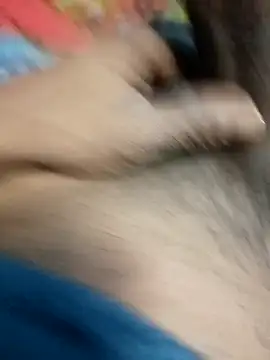 Bengali BULL1 online show from 12/14/25, 03:06