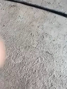 Bengali BULL1 online show from 10/04/25, 05:09