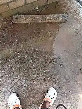 Bengali BULL1 online show from 10/10/25, 04:35