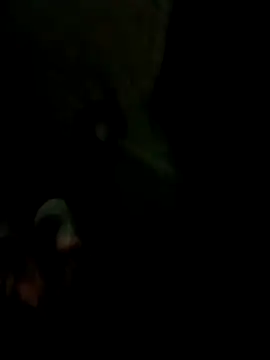 Bengali BULL1 online show from 10/17/25, 09:27