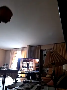 Perv10 online show from 05/20/26, 05:21