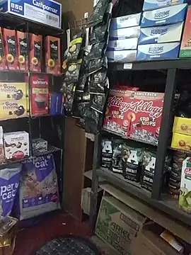 Kalani Engel online show from 04/19/26, 05:30