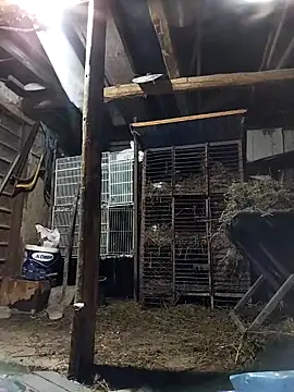 Snapshot of sarpe4 chatting on 03/02/26, 04:58 sarpe4 online show from 03/02/26, 04:58