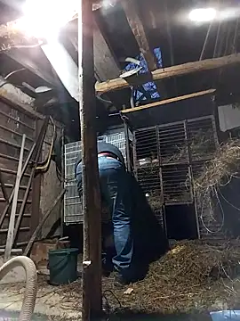 Snapshot of sarpe4 chatting on 02/19/26, 04:15 sarpe4 online show from 02/19/26, 04:15