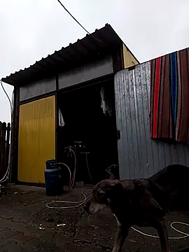 sarpe4 online show from 11/09/25, 09:02