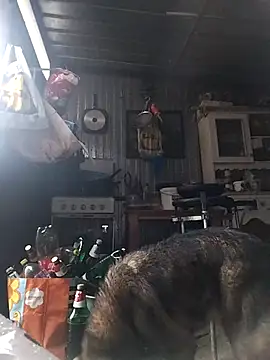 Snapshot of sarpe4 chatting on 02/15/26, 03:00 sarpe4 online show from 02/15/26, 03:00