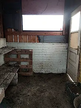 Snapshot of sarpe4 chatting on 02/28/26, 06:57 sarpe4 online show from 02/28/26, 06:57