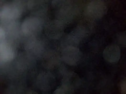 Snapshot of sarpe4 chatting on 03/28/26, 01:56 sarpe4 online show from 03/28/26, 01:56