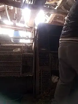 Snapshot of sarpe4 chatting on 01/10/26, 08:20 sarpe4 online show from 01/10/26, 08:20