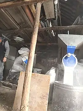 Snapshot of sarpe4 chatting on 01/08/26, 07:58 sarpe4 online show from 01/08/26, 07:58