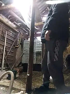 Snapshot of sarpe4 chatting on 02/18/26, 03:41 sarpe4 online show from 02/18/26, 03:41