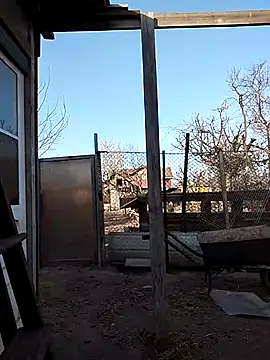 Snapshot of sarpe4 chatting on 04/15/26, 03:38 sarpe4 online show from 04/15/26, 03:38
