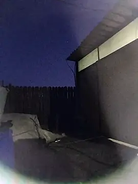 Snapshot of sarpe4 chatting on 03/13/26, 04:56 sarpe4 online show from 03/13/26, 04:56