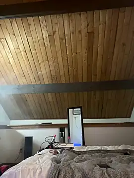 odbodu online show from 11/23/25, 08:57