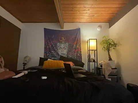 odbodu online show from 02/18/26, 03:26