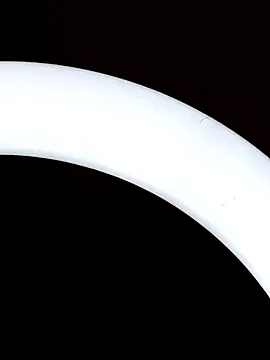 Bull8 online show from 03/18/25, 01:34