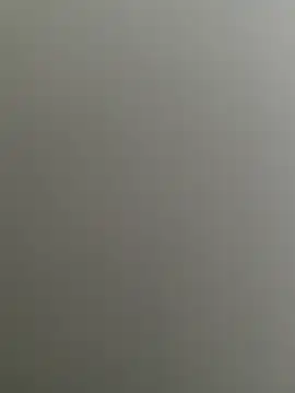 Bull8 online show from 02/26/25, 09:33