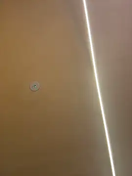 Gatitacarlita online show from 11/26/25, 10:26