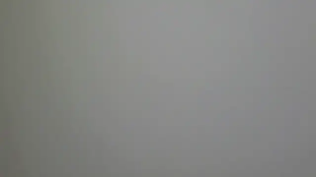 WetFlower69 online show from 02/16/25, 03:27