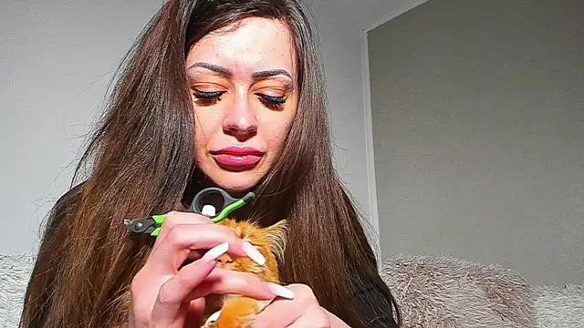 BrianaDiamondXXX online show from 05/23/26, 09:52