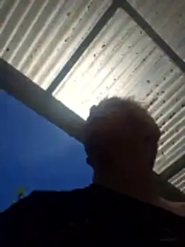 PinkTheHawk online show from 12/14/25, 10:37