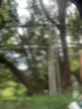 emma tour online show from 11/29/25, 03:12