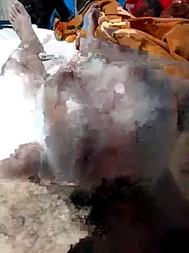 geroom online show from 11/16/25, 08:08