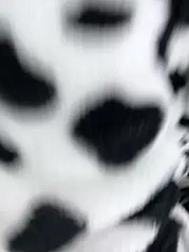 sandylau online show from 02/06/26, 01:23