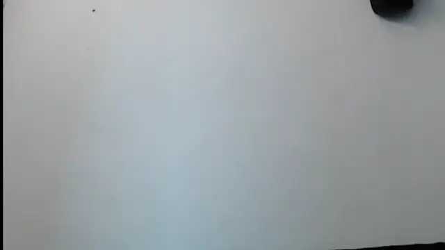 SebastianReiss online show from 02/13/25, 01:29