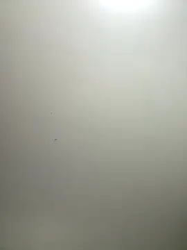 itsCassie online show from 12/17/25, 02:55