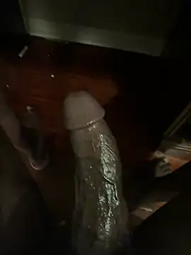 southerncomfort23 online show from 02/20/25, 03:34