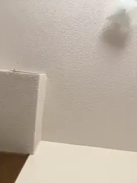 Snapshot of cumgitsumdic chatting on 02/03/25, 07:10 cumgitsumdic online show from 02/03/25, 07:10