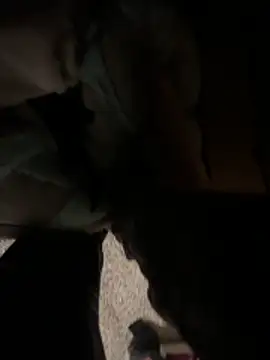 Snapshot of cumgitsumdic chatting on 12/14/25, 12:06 cumgitsumdic online show from 12/14/25, 12:06