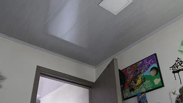 trieone online show from 02/20/26, 03:03