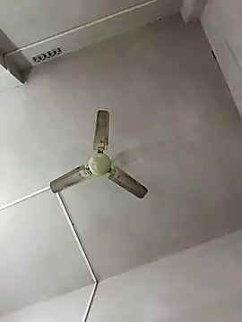 Dogol1990 online show from 12/15/25, 06:19