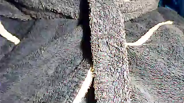 kalinixta online show from 10/02/25, 07:28