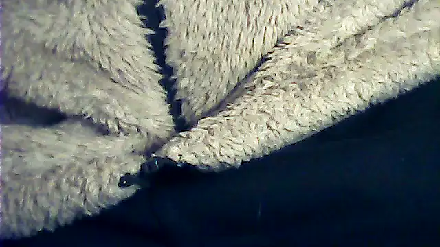 kalinixta online show from 01/06/26, 06:45