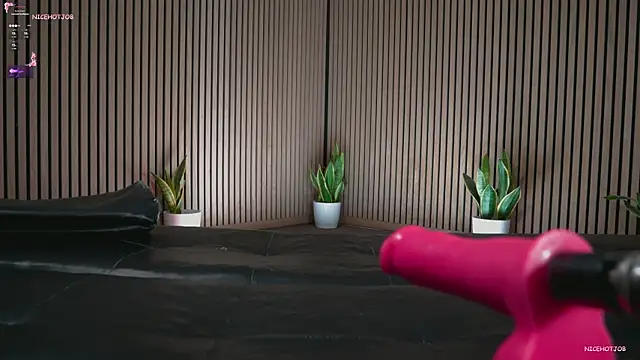 Snapshot of NiceHotJob chatting on 10/01/25, 09:51 NiceHotJob online show from 10/01/25, 09:51