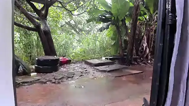 Snapshot of venusandzeus@xh chatting on 12/02/25, 01:13 venusandzeusxh online show from 12/02/25, 01:13