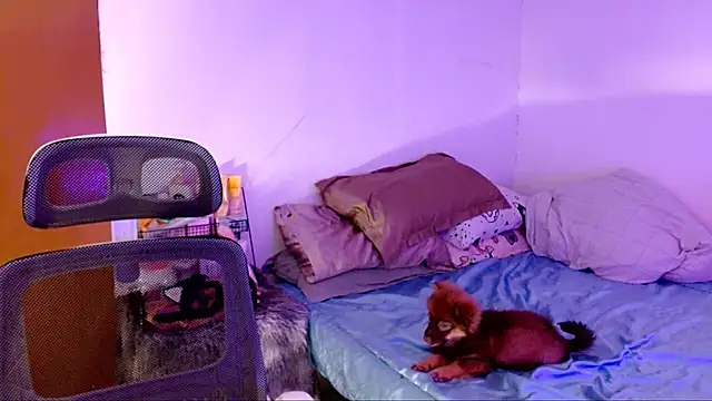 SweetLilly 18 online show from 11/02/25, 02:22