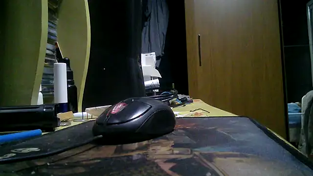 gauchors20 online show from 03/10/26, 03:10