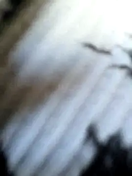 Frost foxy online show from 09/12/25, 03:39