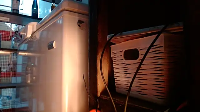 DAELAA online show from 11/10/25, 11:10