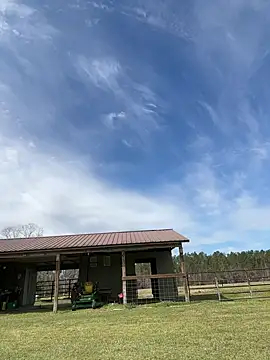 Sitonmyface2020xh online show from 03/03/25, 10:10