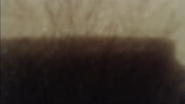 Olivia118 online show from 10/11/25, 06:31