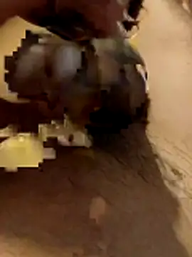 Snapshot of hq9870a chatting on 11/29/25, 05:51 hq9870a online show from 11/29/25, 05:51