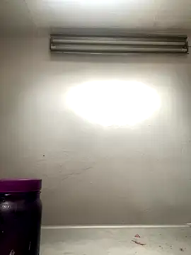 AlondraDiossa03 online show from 11/26/25, 06:30