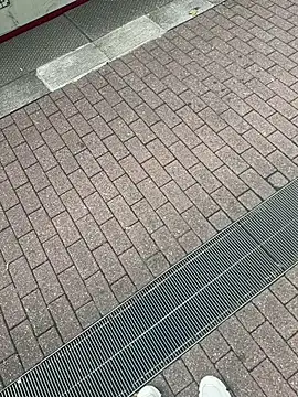 Lionayowe online show from 09/27/25, 01:17